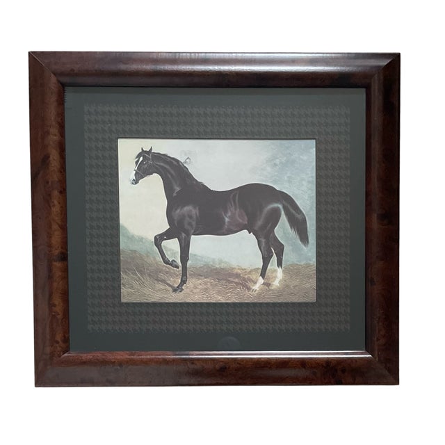 1980s 4 Vintage Thoroughbred Equestrian Horse Prints Framed & Matted 18.5"h X 20.5" W For Sale - Image 5 of 9