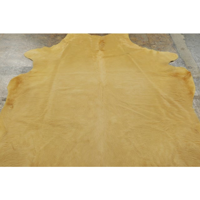 Originating from Brazil, this 7x8 premium Cowhide Solid Rug is a sophisticated addition to Rug & Kilim’s Contemporary...