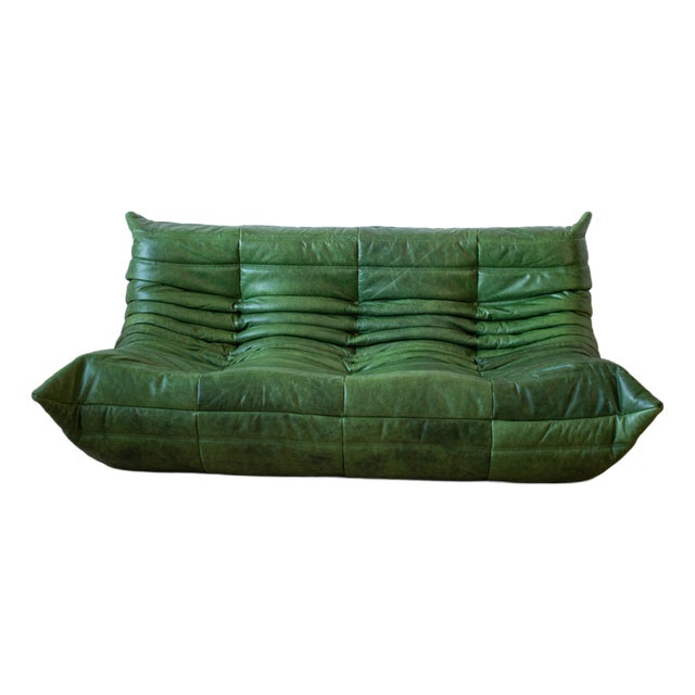 Togo Three-Seater Sofa in Dubai Green Leather by Michel Ducaroy for Ligne Roset For Sale