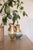 Small Candy Apricot India Vase by Pia Wüstenberg For Sale - Image 9 of 12