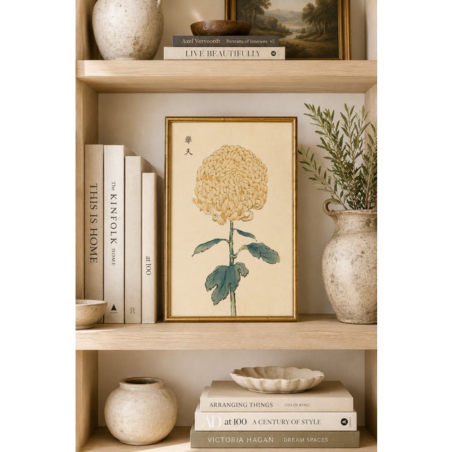 Paper Chrysanthemum by Keika Hasegawa, Vintage Japanese Botanical Art Print, 8" X 12" For Sale - Image 7 of 8