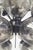 Glass 21st Century Ventiquattro Black Powder Coat Smoky Bubbles Murano Sputnik Chandelier by Fabio LTD For Sale - Image 7 of 7