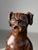 Hand-Carved Statue of Dog Saint Rocco, 18th Century For Sale - Image 17 of 18