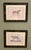 French John-Richard Framed Nature Prints of a Lioness & Margay Pair Faux Tortoiseshell Wood 16x12.5 For Sale - Image 3 of 18
