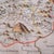 Antique Map of Breconshire, English, Framed, John Speed, Dual Sided, Circa 1627 For Sale - Image 10 of 12