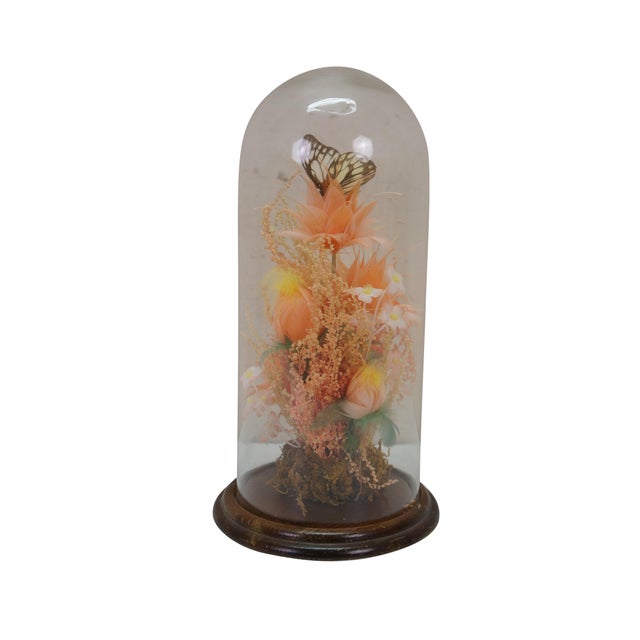 Victorian Late 20th Century Floral Butterfly Diorama Taxidermy Display Apothecary Cloche Dome 12" For Sale - Image 3 of 14