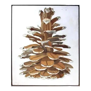 Modern Still-Life Pinecone Oil Painting Panel Buffie Johnson 1974 Plant Series