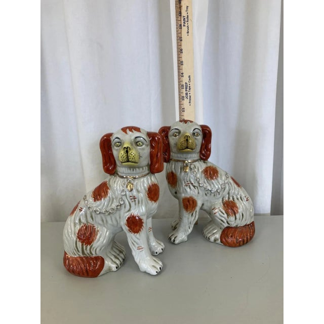 This pair of Staffordshire Terriers is the only pair I've seen in gray. Beautifully detailed with gold chain, locking...