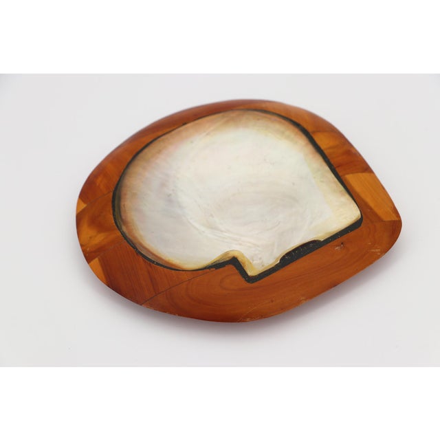 Mid-Century Modern Shell and Teak Root Wood Card Receiver or Trinket Tray in the Style of Alexandre Noll, France, 1950s For Sale - Image 3 of 13