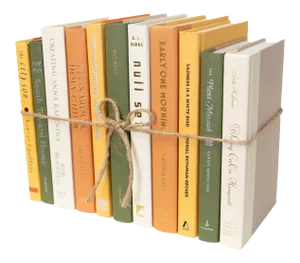 Decorative Books - Safari Book Bundle - 1 Foot of Yellow and Brown Books