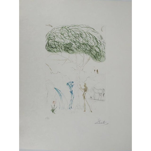 Wood Salvador Dali, Nude, Under the Umbrella Pine, 1970, Engraving For Sale - Image 7 of 7