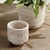 Wood Burma Rattan Cachepots Small, Set Of 2 For Sale - Image 7 of 7
