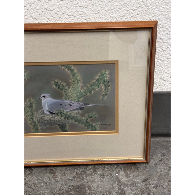 Signed S. Wicklund “Mourning Dove Nesting in Cholla” Framed Original Bird Illustration For Sale - Image 4 of 12