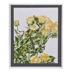 Yellow Roses - Botanical Study by Deborah Eddy