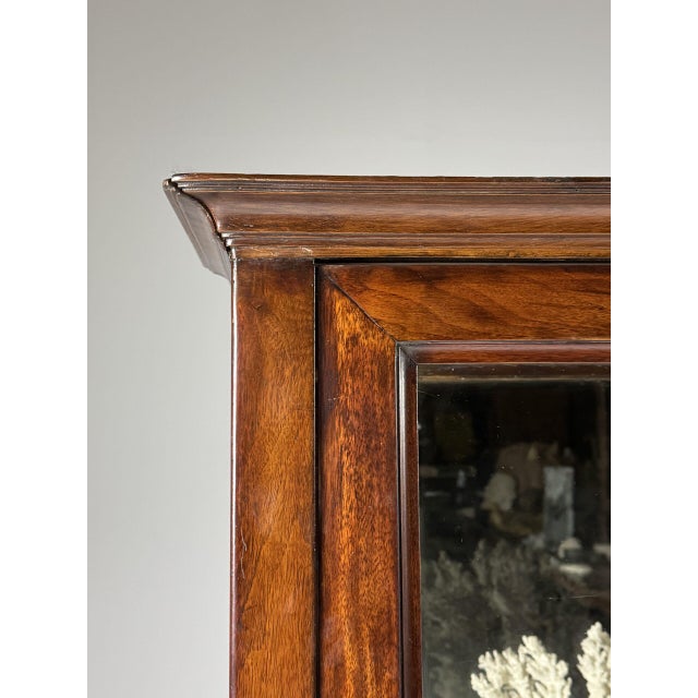 Wood Mahogany Display Cabinets, 19th Century, Set of 2 For Sale - Image 7 of 18