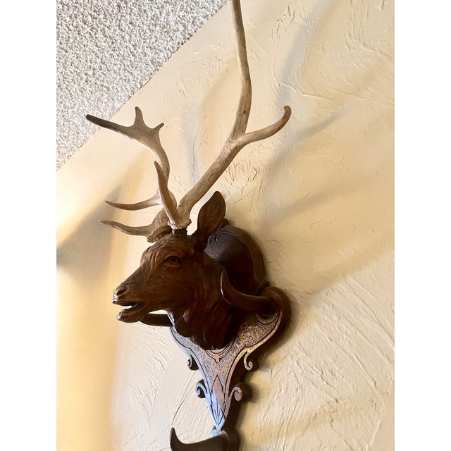 I bought this carved deer head at the flea market in Paris many many years ago. I always bought every black forest carving...