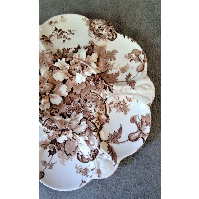 Antique Marguerite Royal Staffordshire Pottery Brown Transferware Oyster Plate For Sale In West Palm - Image 6 of 12