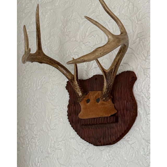 Cabin Mid-20th Century Whitetail Deer Antlers on Carved Shield Plaque For Sale - Image 3 of 5
