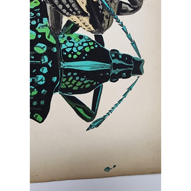 Paper Original Seguy Insect From 1924 Antique Pochoir Plate #14 For Sale - Image 7 of 12