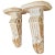 Carved Wooden Wall Brackets, a Pair For Sale