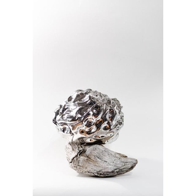Contemporary Arctic Circle Series Sculpture #1 in Glass and Driftwood by Szkło Studio For Sale - Image 3 of 7