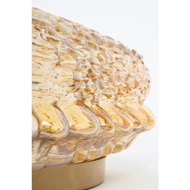 Glass German Amber Glass Sconces in Thumbprint Shape, 1970s For Sale - Image 7 of 11