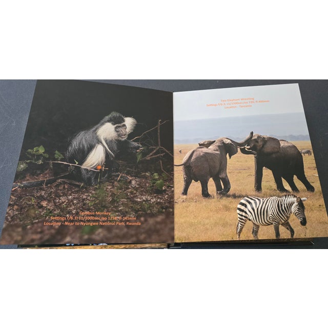 Predators & the Wild Encounters Coffee Table Album For Sale - Image 13 of 17