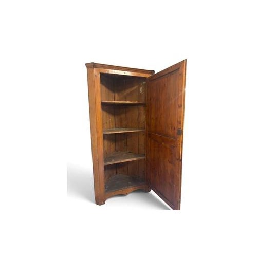 Wood Antique Single-Door Corner Wardrobe with Internal Shelves For Sale - Image 7 of 9