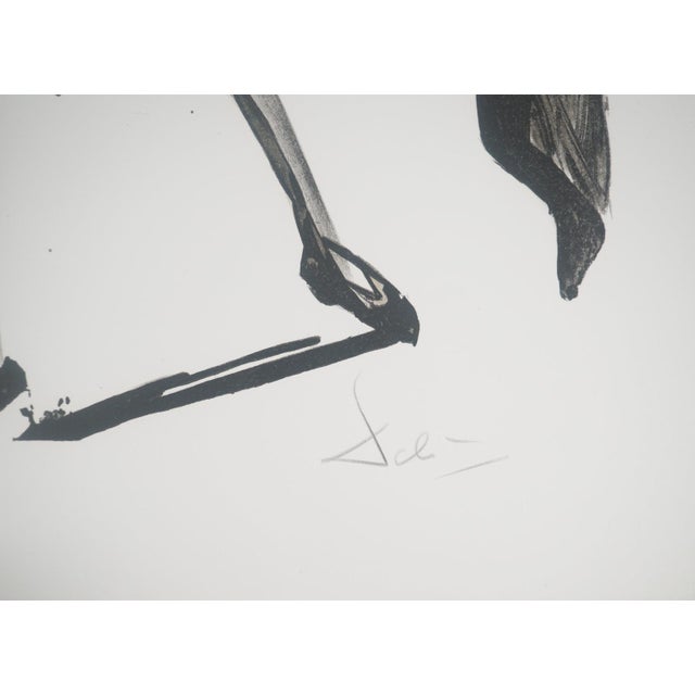 Salvador Dali, Black Bullfighter, Original Lithograph For Sale - Image 4 of 6