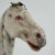 Off-white Early 20th Century French Wooden Horse For Sale - Image 8 of 9