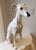 Mid 20th Century Italian Greyhound Whippet Dog Statue For Sale In New York - Image 6 of 16