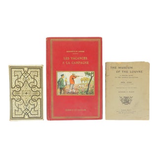 Antique French Book Collection, S/3 For Sale