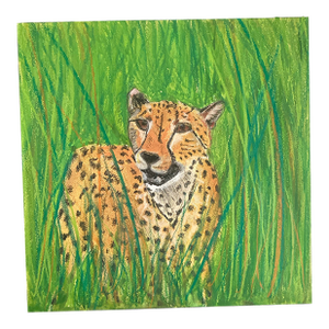 “Cheetah in the Grass” Folk Art Style Drawing