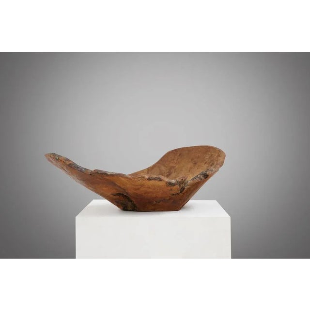 This bowl is made of high-quality wood that comes from the roots of trees. The wood has a beautiful patina that highlights...