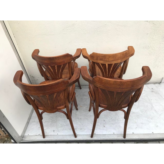 Brown Vintage Beech Armchairs, 1950s, Set of 4 For Sale - Image 8 of 18