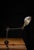 Industrial articulating task lamp featuring a heavy cast iron clamp base, dual articulating steel arms, and a spun...
