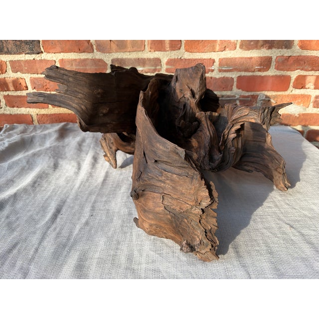 Vintage Teak Wood Root Sculpture on Metal Stand For Sale - Image 14 of 17