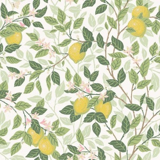SAMPLE - Boråstapeter Citronträd Wallpaper In Ivory And Leaf For Sale