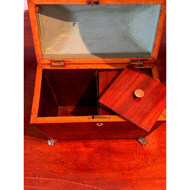 19th Century 19th Century Sarcophagus Form Tea Caddy With Brass Paw Feet For Sale - Image 5 of 7