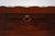 Wood Hekman Flame Mahogany Occasional Tea Table For Sale - Image 7 of 17