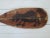 Rustic 1920s Children's Camp Folk Art Canoe Paddle For Sale - Image 3 of 5