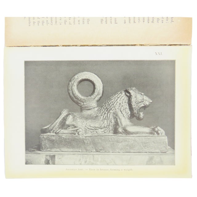 Antique French Book Collection, S/3 For Sale - Image 10 of 11