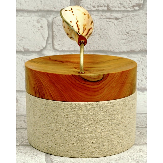 “Hydro” Contemporary Sculpture by Isabelle Fustinoni (French Artist) – Natural Shell & Mixed Media For Sale - Image 4 of 8
