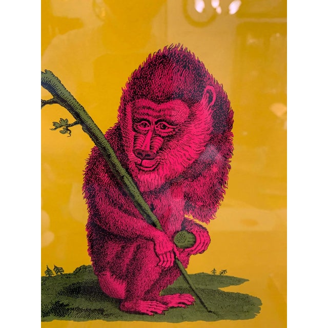 Vintage Tiber Press Framed Print, Simeons For Sale - Image 4 of 7