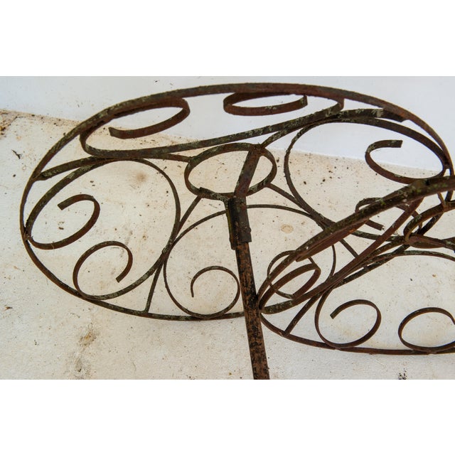 Set of Four French garden Rose Trees For Sale - Image 12 of 12