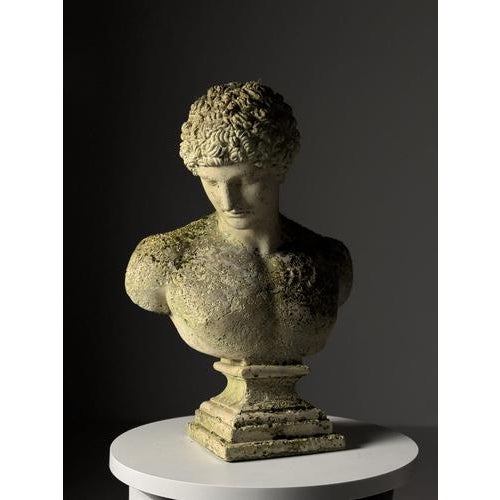 Bust of Hermes in Plaster For Sale - Image 5 of 18