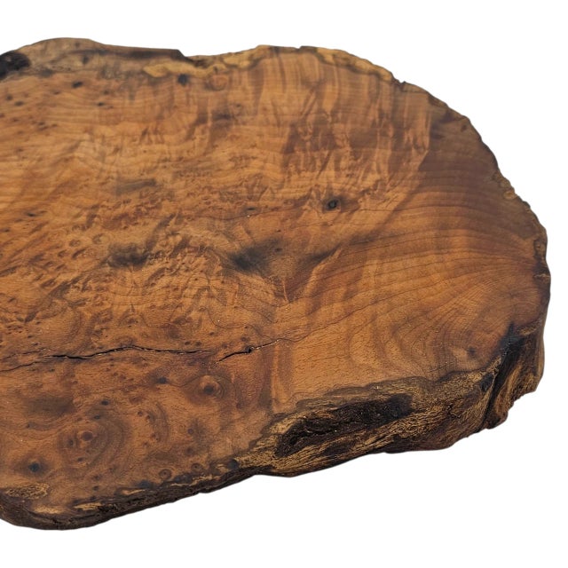 Japanese Bonsai Stand Organic Modern Wood Burl Shou Sugi Ban16" For Sale - Image 10 of 10
