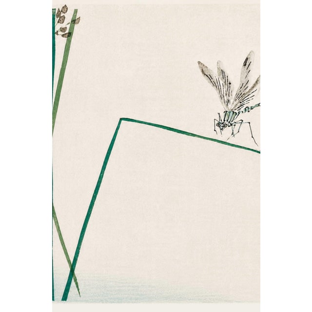 Japanese Dragonfly on Bulrush Leaf by Kōno Bairei, Vintage Japanese Art Print Reproduction, 24" X 16" For Sale - Image 3 of 9