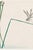 Japanese Dragonfly on Bulrush Leaf by Kōno Bairei, Vintage Japanese Art Print Reproduction, 24" X 16" For Sale - Image 3 of 9