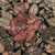Floral Rug from Missoni, Italy For Sale - Image 4 of 9